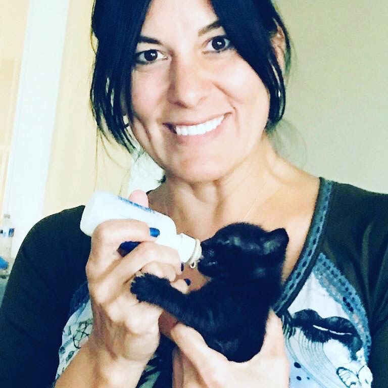 KB Community Cats Rescue Program holding annual fundraiser